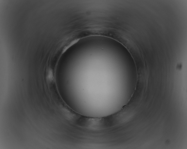X0000093570089200710221452