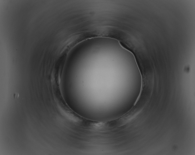 X0000093570092200710221452