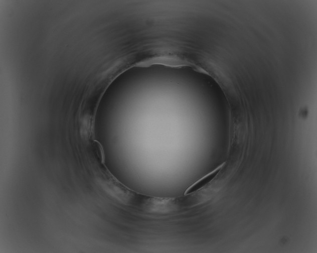 X0000093570093200710221452
