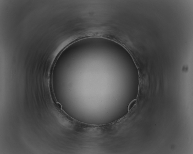 X0000093570100200710221451