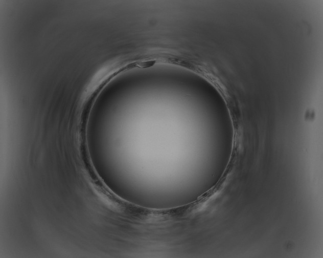 X0000093570101200710221451