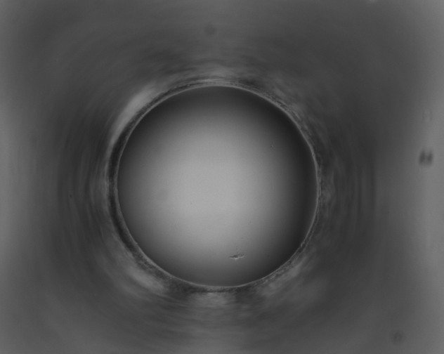 X0000093570102200710221451