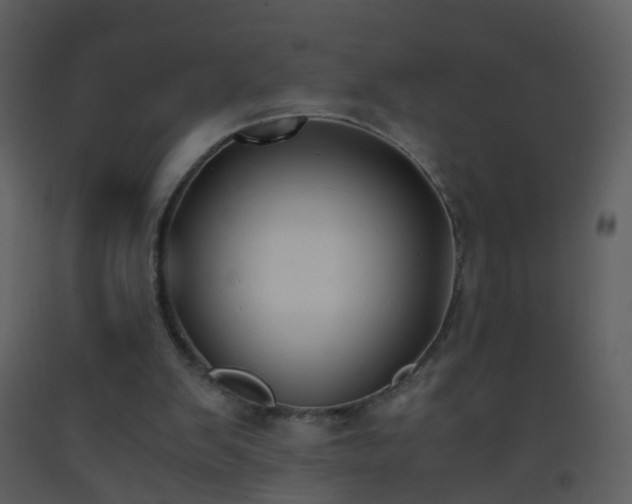 X0000093570103200710221451