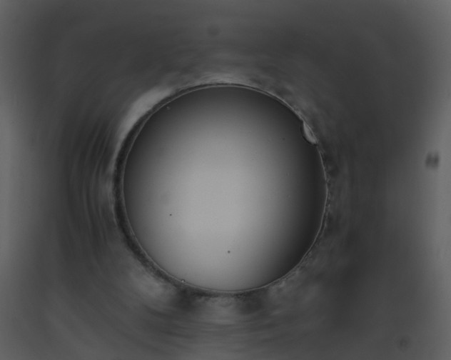 X0000093570104200710221451