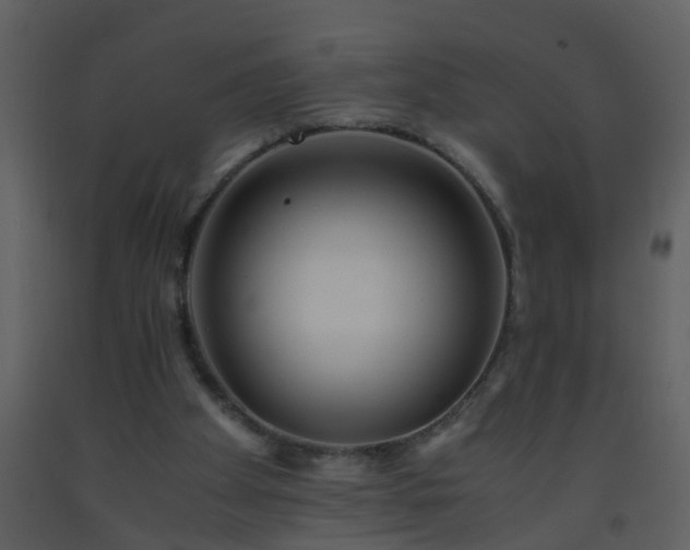 X0000093570105200710221451