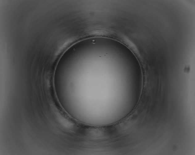 X0000093570106200710221451