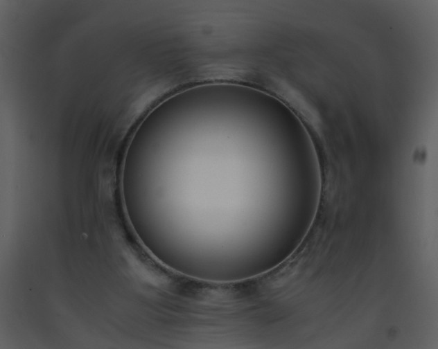 X0000093570107200710221451
