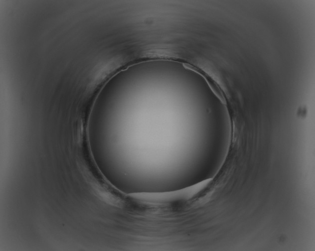 X0000093570109200710221451