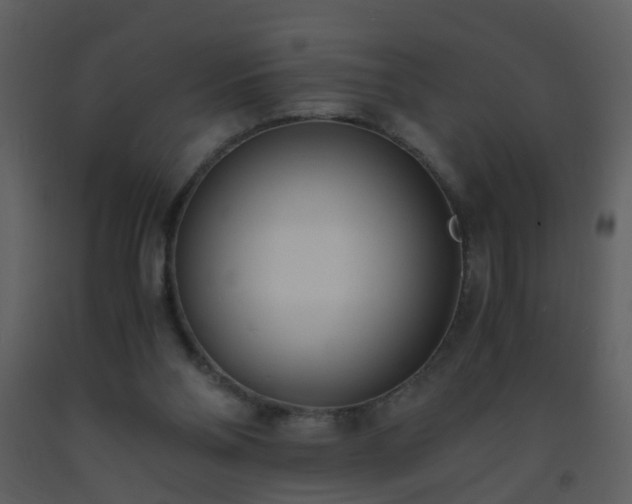 X0000093570110200710221451