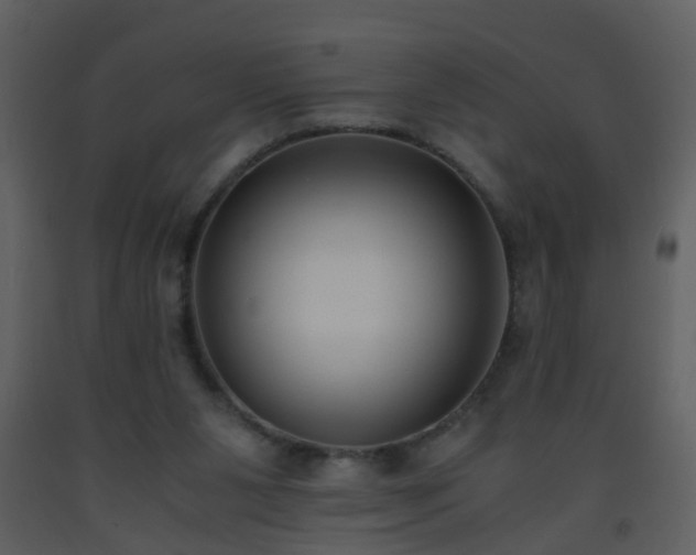 X0000093570111200710221451
