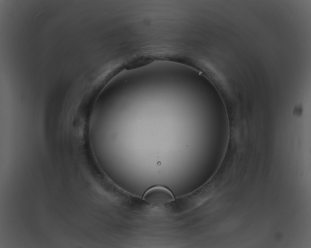 X0000093570115200710221451
