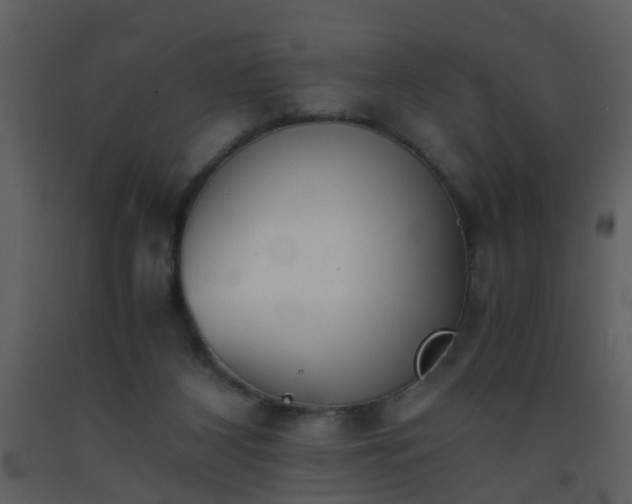 X0000093570116200710221451
