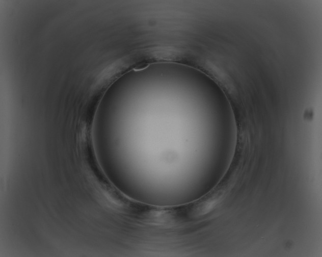 X0000093570117200710221451