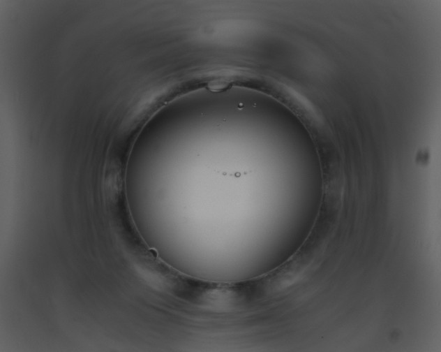 X0000093570119200710221451