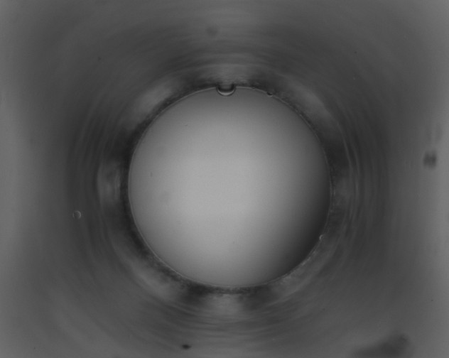 X0000093570120200710221451