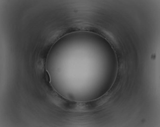 X0000093570121200710221451