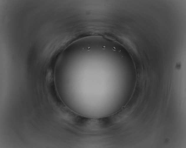 X0000093570123200710221451
