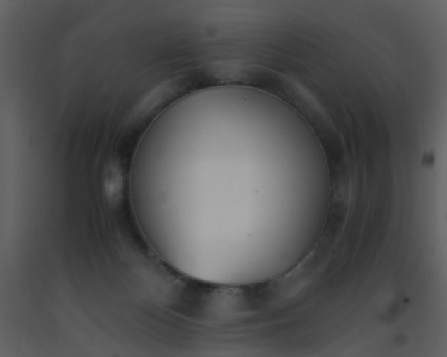 X0000093570124200710221451