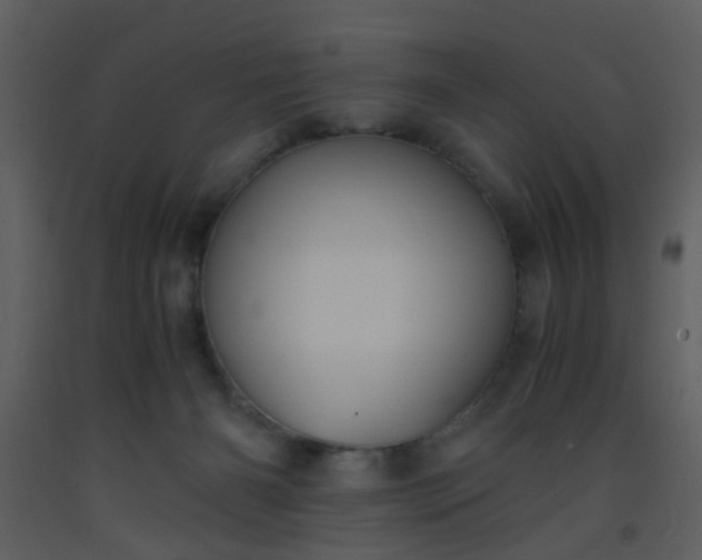 X0000093570126200710221451