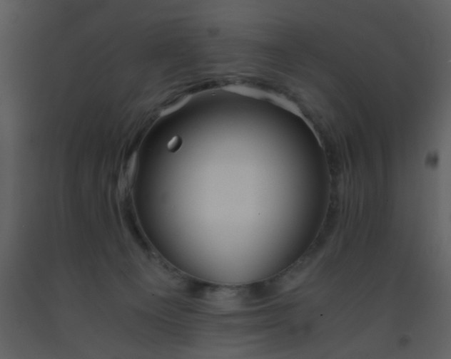X0000093570129200710221451