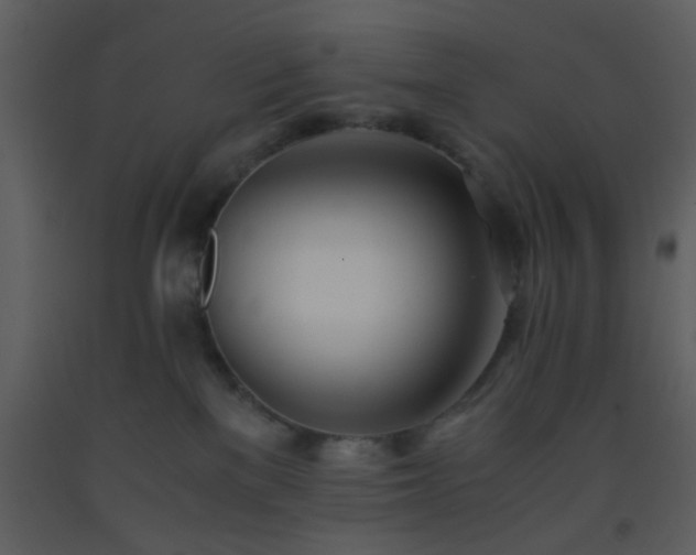 X0000093570137200710221451