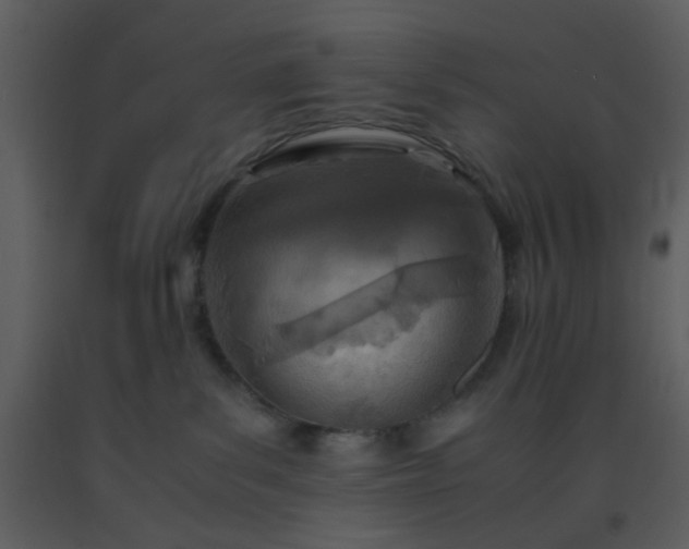 X0000093570139200710221451