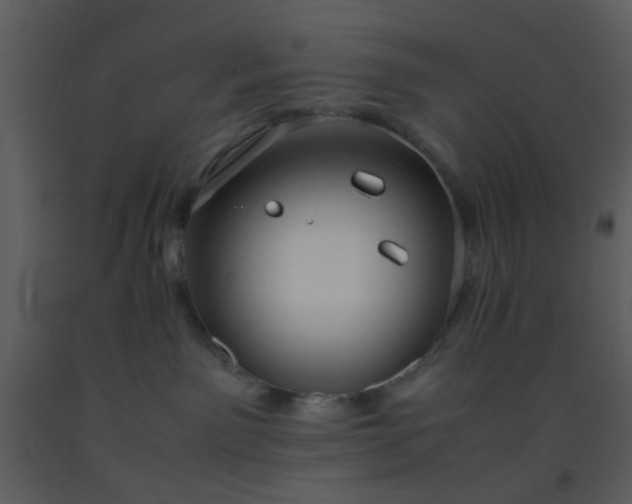 X0000093570141200710221451