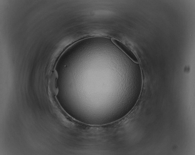 X0000093570145200710221450