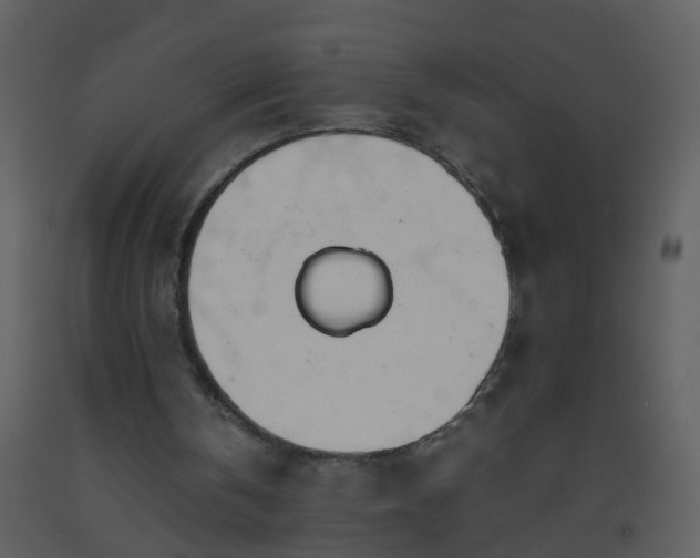 X0000093570146200710221450
