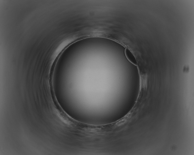 X0000093570147200710221450
