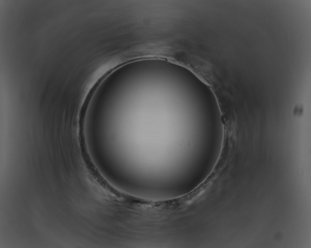 X0000093570148200710221450