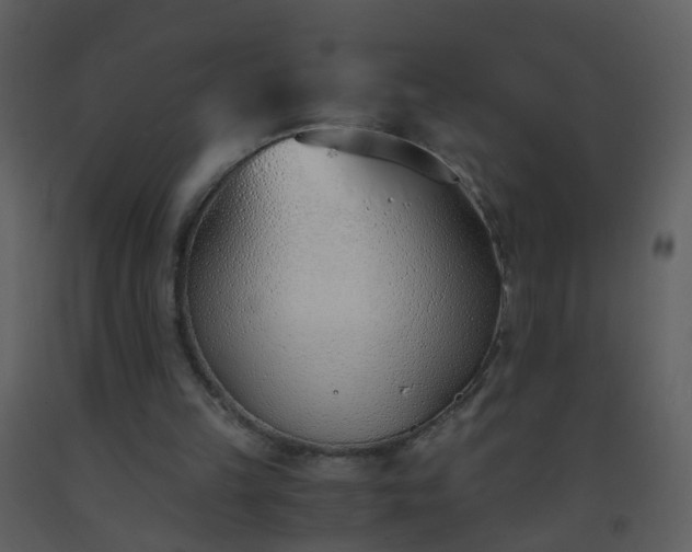 X0000093570149200710221450