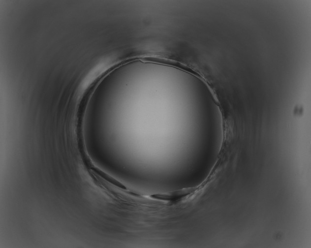 X0000093570150200710221450