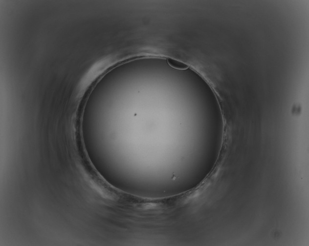 X0000093570151200710221450