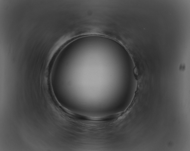 X0000093570152200710221450