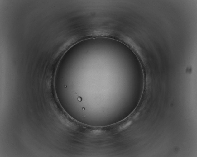 X0000093570153200710221450