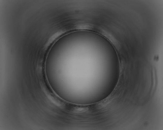 X0000093570155200710221450