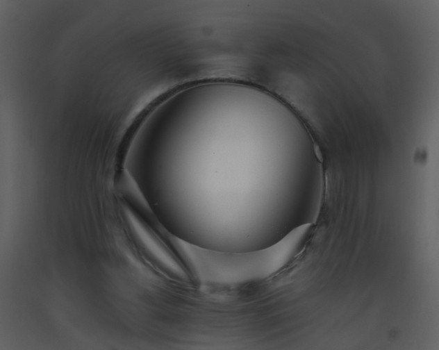 X0000093570156200710221450
