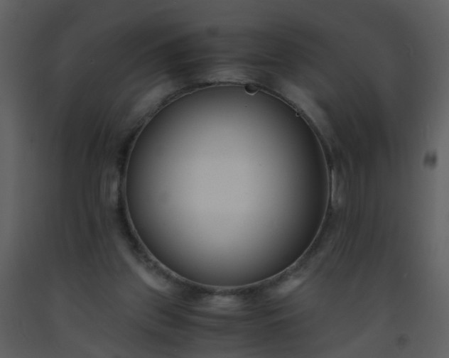 X0000093570157200710221450