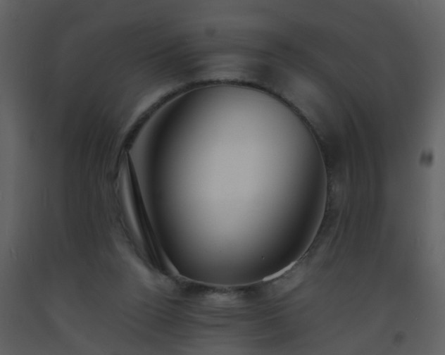 X0000093570160200710221451