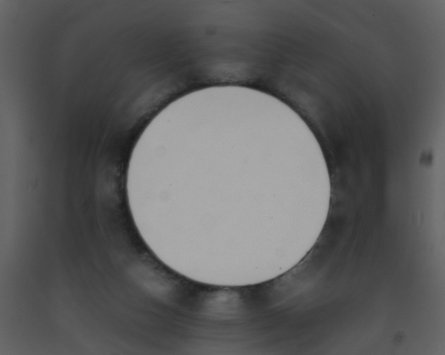 X0000093570162200710221451