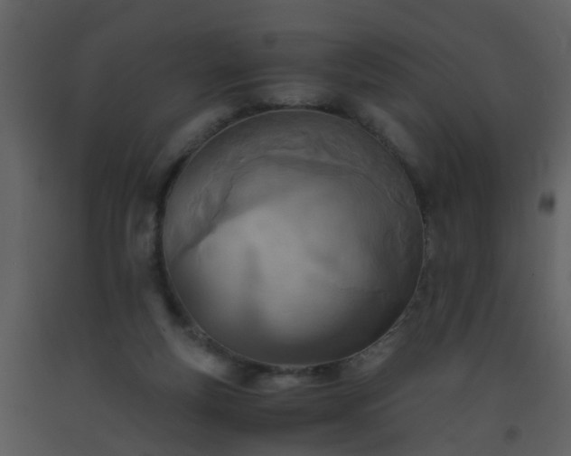 X0000093570163200710221451
