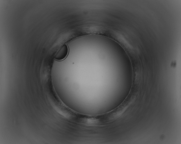 X0000093570165200710221451