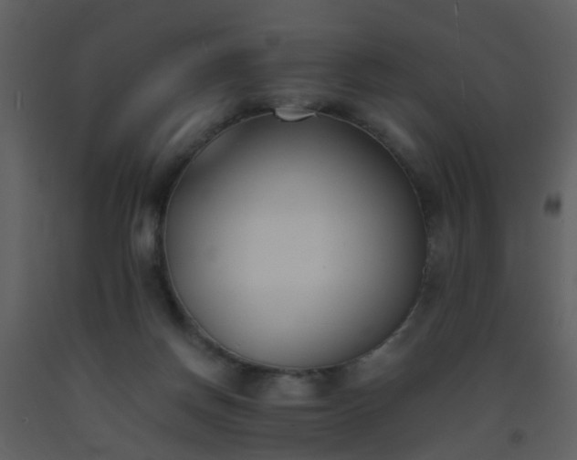 X0000093570166200710221451
