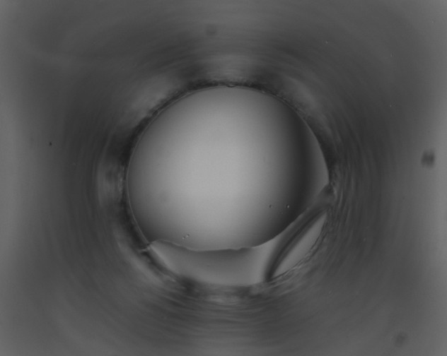 X0000093570168200710221451