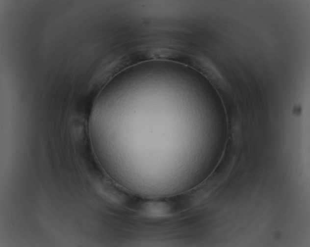 X0000093570169200710221451