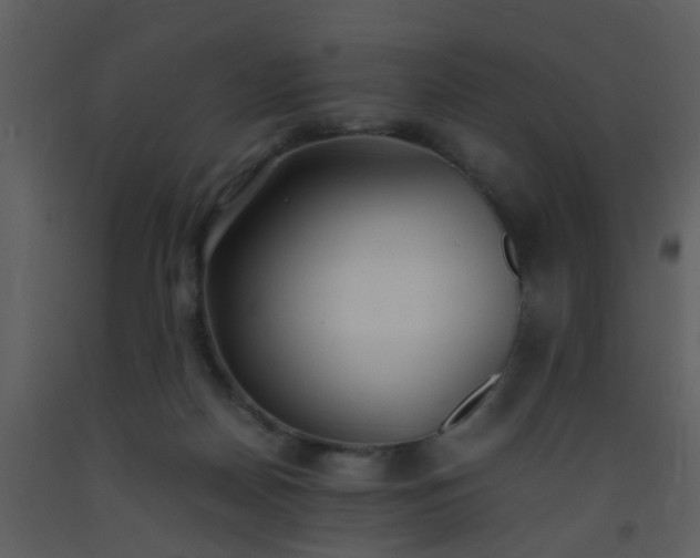 X0000093570170200710221451
