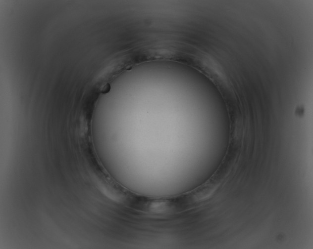 X0000093570173200710221451