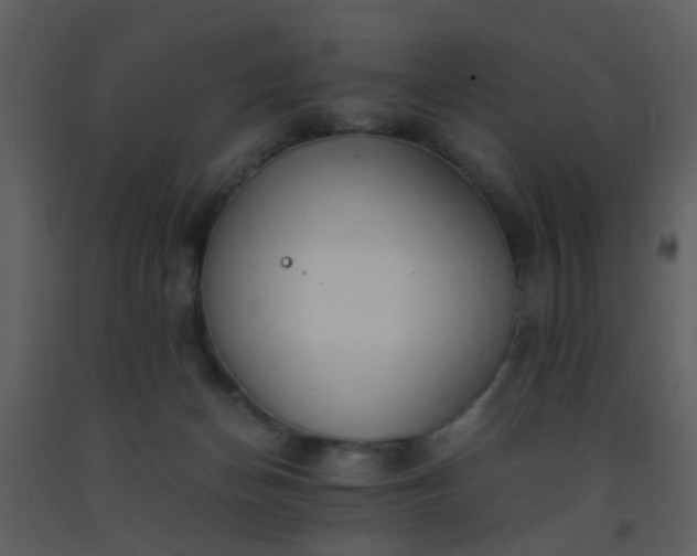 X0000093570174200710221451