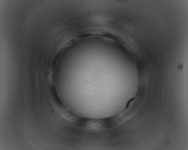 X0000093570175200710221451